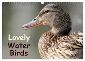 CALVENDO / Meißner |  Lovely Water Birds (Wall Calendar 2026 DIN A3 landscape), CALVENDO 12 Month Wall Calendar | Sonstiges |  Sack Fachmedien