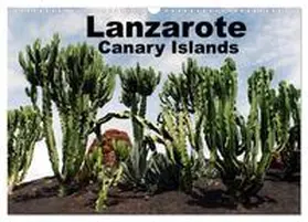 CALVENDO / Schneider |  Lanzarote - Canary Islands (Wall Calendar 2026 DIN A3 landscape), CALVENDO 12 Month Wall Calendar | Sonstiges |  Sack Fachmedien