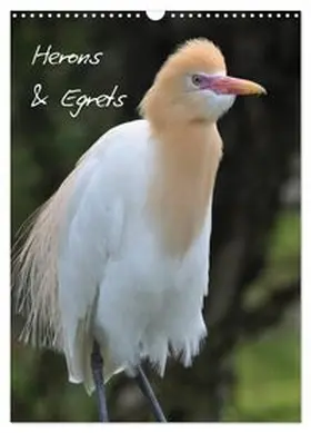 CALVENDO / Kreissig |  Herons & Egrets (Wall Calendar 2026 DIN A3 portrait), CALVENDO 12 Month Wall Calendar | Sonstiges |  Sack Fachmedien