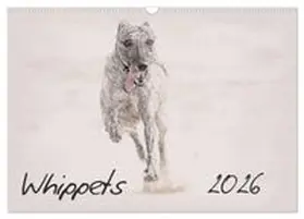 CALVENDO / Redecker |  Whippets 2026 (Wall Calendar 2026 DIN A3 landscape), CALVENDO 12 Month Wall Calendar | Sonstiges |  Sack Fachmedien