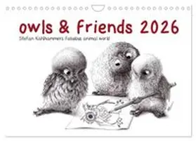 CALVENDO / Kahlhammer |  owls & friends 2026 (Wall Calendar 2026 DIN A4 landscape), CALVENDO 12 Month Wall Calendar | Sonstiges |  Sack Fachmedien