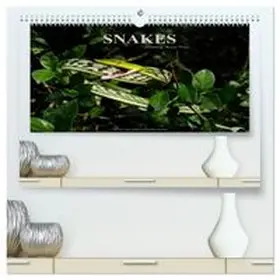 CALVENDO / Trapp |  SNAKES / UK-Version (High Quality Premium Wall Calendar 2026 DIN A2 landscape),CALVENDO 12 Month Wall Calendar | Sonstiges |  Sack Fachmedien