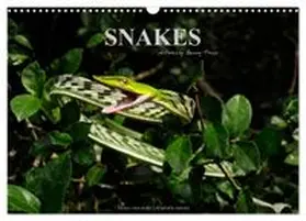 CALVENDO / Trapp |  SNAKES / UK-Version (Wall Calendar 2026 DIN A3 landscape), CALVENDO 12 Month Wall Calendar | Sonstiges |  Sack Fachmedien