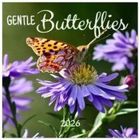 CALVENDO / Rau |  Gentle butterflies (Wall Calendar 2026 12 × 12 Inch) CALVENDO 12 Month Wall Calendar | Sonstiges |  Sack Fachmedien