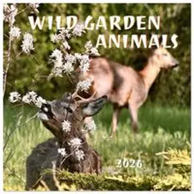 CALVENDO / Rau |  WILD GARDEN ANIMALS (Wall Calendar 2026 12 × 12 Inch) CALVENDO 12 Month Wall Calendar | Sonstiges |  Sack Fachmedien