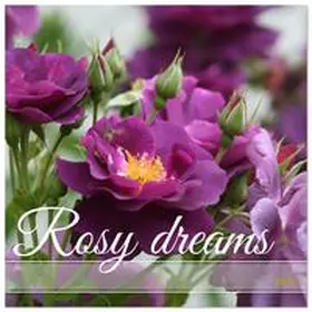 CALVENDO / Rau |  Rosy dreams (Wall Calendar 2026 12 × 12 Inch) CALVENDO 12 Month Wall Calendar | Sonstiges |  Sack Fachmedien
