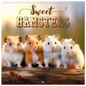 CALVENDO / Viola |  Sweet HAMSTERS (Wall Calendar 2026 12 × 12 Inch) CALVENDO 12 Month Wall Calendar | Sonstiges |  Sack Fachmedien