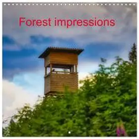 CALVENDO / Irmer |  Forest impressions (Wall Calendar 2026 12 × 12 Inch) CALVENDO 12 Month Wall Calendar | Sonstiges |  Sack Fachmedien