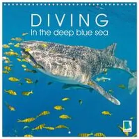 CALVENDO |  Diving in the deep blue sea (Wall Calendar 2026 12 × 12 Inch) CALVENDO 12 Month Wall Calendar | Sonstiges |  Sack Fachmedien