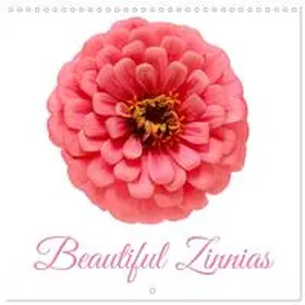 CALVENDO / Stenner |  Beautiful Zinnias (Wall Calendar 2026 12 × 12 Inch) CALVENDO 12 Month Wall Calendar | Sonstiges |  Sack Fachmedien