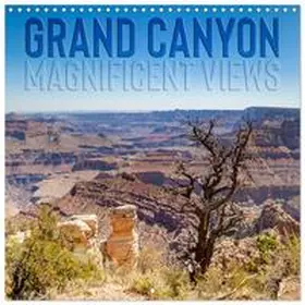 CALVENDO / Viola |  GRAND CANYON Magnificent views (Wall Calendar 2026 12 × 12 Inch) CALVENDO 12 Month Wall Calendar | Sonstiges |  Sack Fachmedien