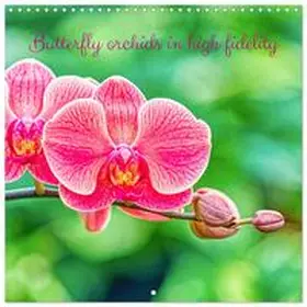 CALVENDO / Stenner |  Butterfly orchids in high fidelity (Wall Calendar 2026 12 × 12 Inch) CALVENDO 12 Month Wall Calendar | Sonstiges |  Sack Fachmedien