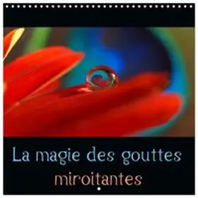 CALVENDO / Laimgruber |  La magie des gouttes miroitantes (Calendrier mural carré 2026 30x30 cm) Calendrier double avec une page pour vos prises de notes | Sonstiges |  Sack Fachmedien