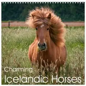 CALVENDO / Berkenkamp |  Charming Icelandic Horses (Wall Calendar 2026 12 × 12 Inch) CALVENDO 12 Month Wall Calendar | Sonstiges |  Sack Fachmedien