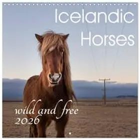 CALVENDO / van der Wiel - www.kalender-atelier.de |  Icelandic Horses - wild and free (Wall Calendar 2026 12 × 12 Inch) CALVENDO 12 Month Wall Calendar | Sonstiges |  Sack Fachmedien