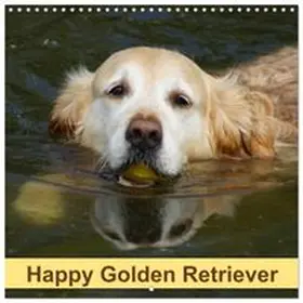 CALVENDO / kattobello |  Happy Golden Retriever (Wall Calendar 2026 12 × 12 Inch) CALVENDO 12 Month Wall Calendar | Sonstiges |  Sack Fachmedien