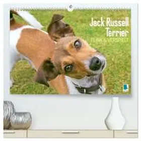 CALVENDO |  Jack Russell Terrier: flink und verspielt (hochwertiger Premium Wandkalender 2026 DIN A2 quer), Kunstdruck in Hochglanz | Sonstiges |  Sack Fachmedien