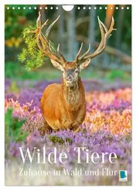 CALVENDO |  Wilde Tiere: Zuhause in Wald und Flur (Wandkalender 2026 DIN A4 hoch), CALVENDO Monatskalender | Sonstiges |  Sack Fachmedien