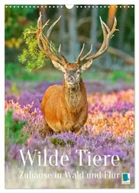 CALVENDO |  Wilde Tiere: Zuhause in Wald und Flur (Wandkalender 2026 DIN A3 hoch), CALVENDO Monatskalender | Sonstiges |  Sack Fachmedien