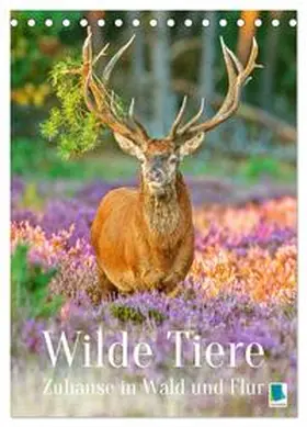 CALVENDO |  Wilde Tiere: Zuhause in Wald und Flur (Tischkalender 2026 DIN A5 hoch), CALVENDO Monatskalender | Sonstiges |  Sack Fachmedien
