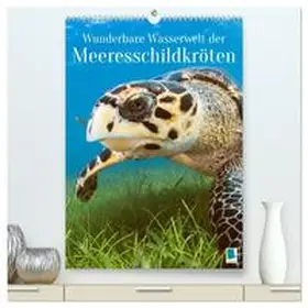 CALVENDO |  Wunderbare Wasserwelt der Meeresschildkröten (hochwertiger Premium Wandkalender 2026 DIN A2 hoch), Kunstdruck in Hochglanz | Sonstiges |  Sack Fachmedien