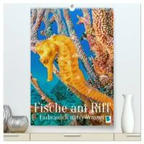 CALVENDO |  Farbrausch unter Wasser: Fische am Riff (hochwertiger Premium Wandkalender 2026 DIN A2 hoch), Kunstdruck in Hochglanz | Sonstiges |  Sack Fachmedien