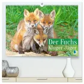 CALVENDO |  Der Fuchs: Kluger Jäger (hochwertiger Premium Wandkalender 2026 DIN A2 quer), Kunstdruck in Hochglanz | Sonstiges |  Sack Fachmedien