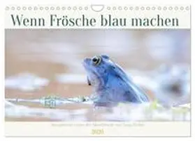 Riedel / CALVENDO |  Wenn Frösche blau machen - das geheime Leben der Moorfrösche von Tanja Riedel (Wandkalender 2026 DIN A4 quer), CALVENDO Monatskalender | Sonstiges |  Sack Fachmedien
