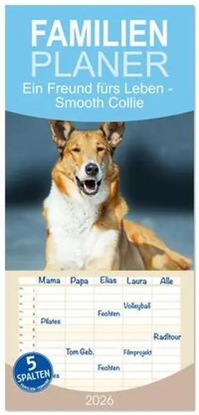 Starick / CALVENDO |  Familienplaner 2026 - Ein Freund fürs Leben - Smooth Collie mit 5 Spalten (Wandkalender, 21 x 45 cm) CALVENDO | Sonstiges |  Sack Fachmedien