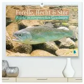 CALVENDO |  Forelle, Hecht und Stör: Fische in europäischen Gewässern (hochwertiger Premium Wandkalender 2026 DIN A2 quer), Kunstdruck in Hochglanz | Sonstiges |  Sack Fachmedien