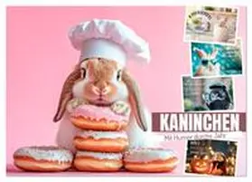 CALVENDO / Viola |  KANINCHEN Mit Humor durchs Jahr (Wandkalender 2026 DIN A4 quer), CALVENDO Monatskalender | Sonstiges |  Sack Fachmedien