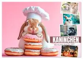 CALVENDO / Viola |  KANINCHEN Mit Humor durchs Jahr (Tischkalender 2026 DIN A5 quer), CALVENDO Monatskalender | Sonstiges |  Sack Fachmedien