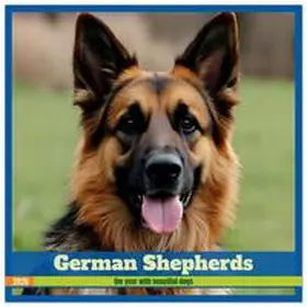 CALVENDO / Lichtblicke |  German Shepherds around the year (Wall Calendar 2026 12 × 12 Inch) CALVENDO 12 Month Wall Calendar | Sonstiges |  Sack Fachmedien