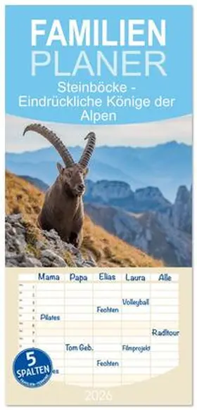 Kramer / CALVENDO |  Familienplaner 2026 - Steinböcke - Eindrückliche Könige der Alpen mit 5 Spalten (Wandkalender, 21 x 45 cm) CALVENDO | Sonstiges |  Sack Fachmedien