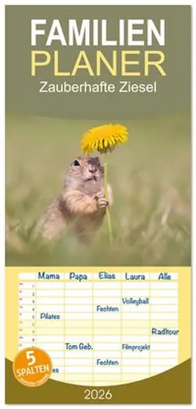 CALVENDO / Kuhn |  Familienplaner 2026 - Zauberhafte Ziesel mit 5 Spalten (Wandkalender, 21 x 45 cm) CALVENDO | Sonstiges |  Sack Fachmedien