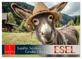 Roder / CALVENDO |  Esel - sanfte Seelen, große Ohren (Wandkalender 2026 DIN A3 quer), CALVENDO Monatskalender | Sonstiges |  Sack Fachmedien