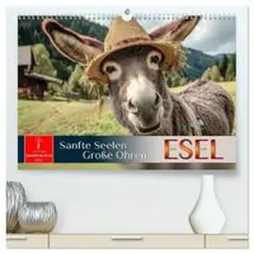 Roder / CALVENDO |  Esel - sanfte Seelen, große Ohren (hochwertiger Premium Wandkalender 2026 DIN A2 quer), Kunstdruck in Hochglanz | Sonstiges |  Sack Fachmedien