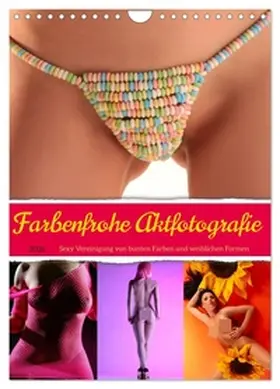 Lichtgestalt / CALVENDO |  Farbenfrohe Aktfotografie (Wandkalender 2026 DIN A4 hoch), CALVENDO Monatskalender | Sonstiges |  Sack Fachmedien