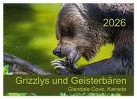 CALVENDO / Zeidler |  Grizzlys und Geisterbären - Glendale Cove, Kanada (Wandkalender 2026 DIN A4 quer), CALVENDO Monatskalender | Sonstiges |  Sack Fachmedien