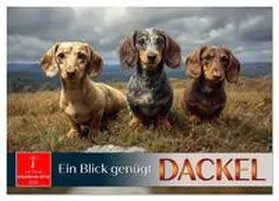 Roder / CALVENDO |  Dackel - ein Blick genügt (Tischkalender 2026 DIN A5 quer), CALVENDO Monatskalender | Sonstiges |  Sack Fachmedien