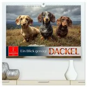 Roder / CALVENDO |  Dackel - ein Blick genügt (hochwertiger Premium Wandkalender 2026 DIN A2 quer), Kunstdruck in Hochglanz | Sonstiges |  Sack Fachmedien