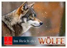 Roder / CALVENDO |  Im Reich der Wölfe (Tischkalender 2026 DIN A5 quer), CALVENDO Monatskalender | Sonstiges |  Sack Fachmedien