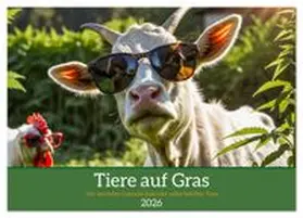 CALVENDO / Fotografie |  Tiere auf Gras - Der verrückte Cannabis-Kalender voller bekiffter Tiere (Wandkalender 2026 DIN A4 quer), CALVENDO Monatskalender | Sonstiges |  Sack Fachmedien