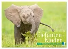 CALVENDO |  Elefanten Kinder: Winzlinge im Land der Riesen (Wandkalender 2026 DIN A4 quer), CALVENDO Monatskalender | Sonstiges |  Sack Fachmedien
