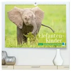 CALVENDO |  Elefanten Kinder: Winzlinge im Land der Riesen (hochwertiger Premium Wandkalender 2026 DIN A2 quer), Kunstdruck in Hochglanz | Sonstiges |  Sack Fachmedien