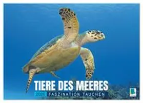 CALVENDO |  Tiere des Meeres: Faszination Tauchen (Wandkalender 2026 DIN A4 quer), CALVENDO Monatskalender | Sonstiges |  Sack Fachmedien
