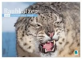 CALVENDO |  Raubkatzen: Geschmeidige Jäger (Wandkalender 2026 DIN A4 quer), CALVENDO Monatskalender | Sonstiges |  Sack Fachmedien