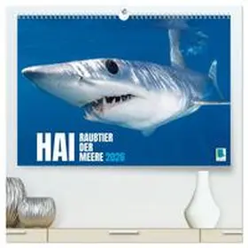 CALVENDO |  Hai: Raubtier der Meere (hochwertiger Premium Wandkalender 2026 DIN A2 quer), Kunstdruck in Hochglanz | Sonstiges |  Sack Fachmedien