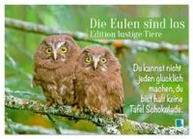 CALVENDO |  Die Eulen sind los: Edition lustige Tiere (Tischkalender 2026 DIN A5 quer), CALVENDO Monatskalender | Sonstiges |  Sack Fachmedien