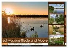 Löwer / CALVENDO |  Schwabens Riede und Moore (Wandkalender 2026 DIN A2 quer), CALVENDO Monatskalender | Sonstiges |  Sack Fachmedien